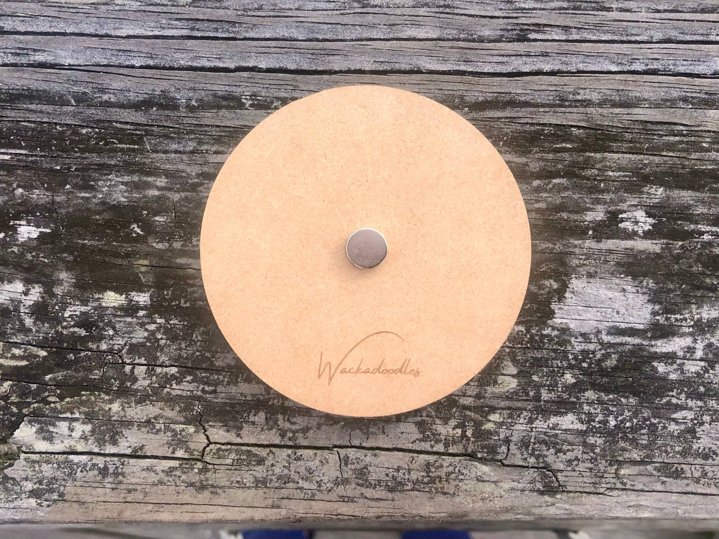 Matlacha/Pine Island Sea Turtle Magnets