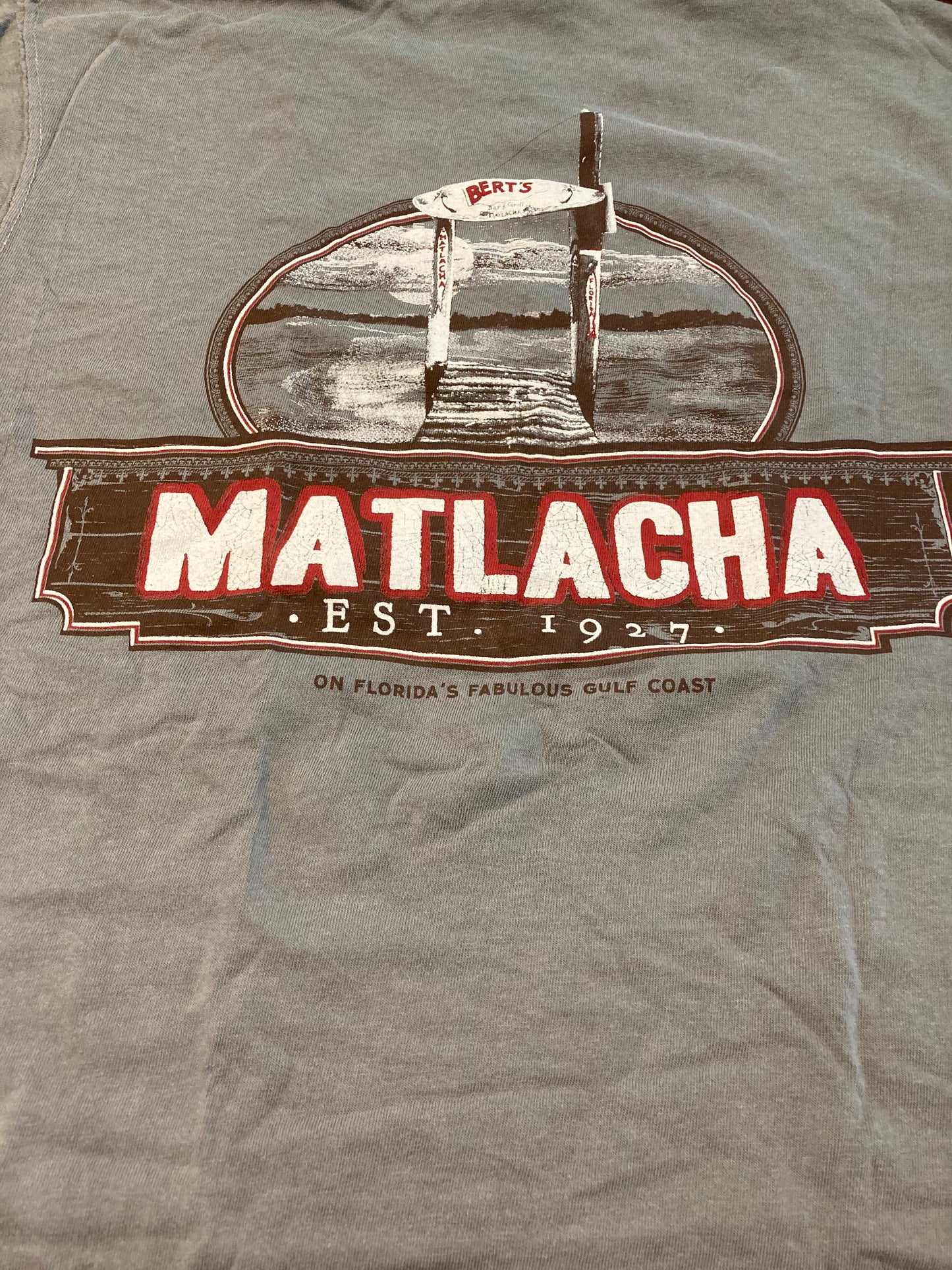 Million Dollar View T-shirt (Men's Gray)