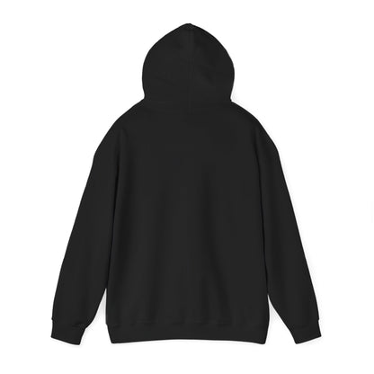Low & Slow Dad Hoodie | Retro BBQ Grilling Father's Day