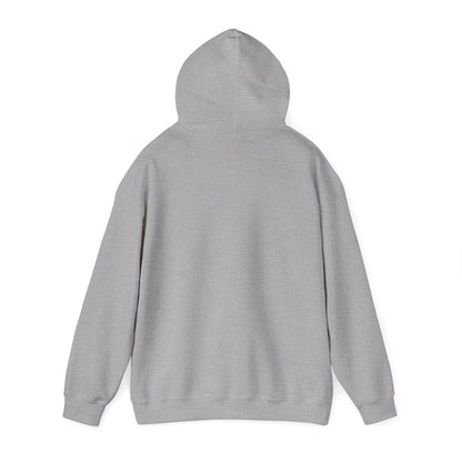 Low & Slow Dad Hoodie | Retro BBQ Grilling Father's Day
