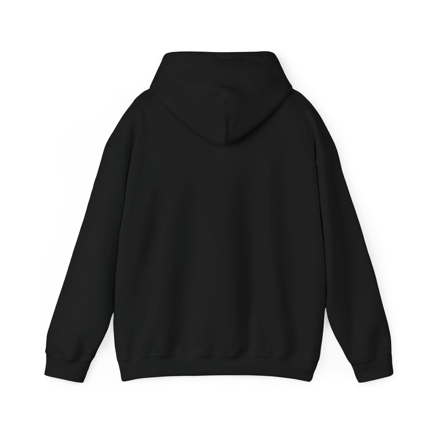 Low & Slow Dad Hoodie | Retro BBQ Grilling Father's Day