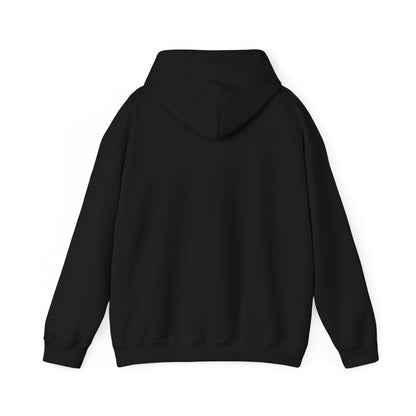 Low & Slow Dad Hoodie | Retro BBQ Grilling Father's Day
