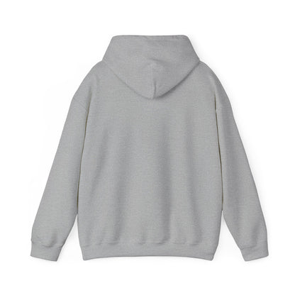 Low & Slow Dad Hoodie | Retro BBQ Grilling Father's Day