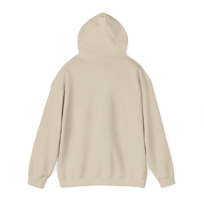 Low & Slow Dad Hoodie | Retro BBQ Grilling Father's Day